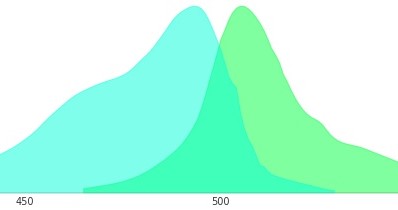 ZsGreen熒光蛋白激發(fā)波長(zhǎng)