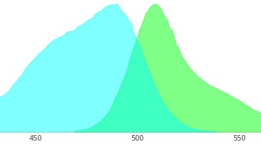 綠色熒光蛋白EX488和EM510是指什么？